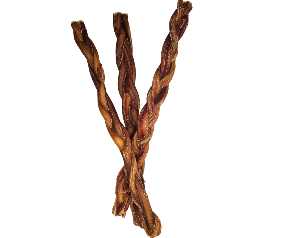 Bully stick tressé 12 pouces