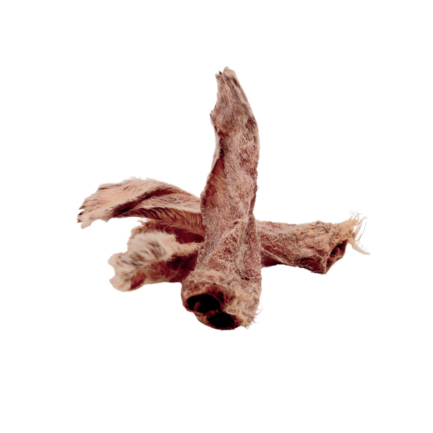 Oreille de lapin