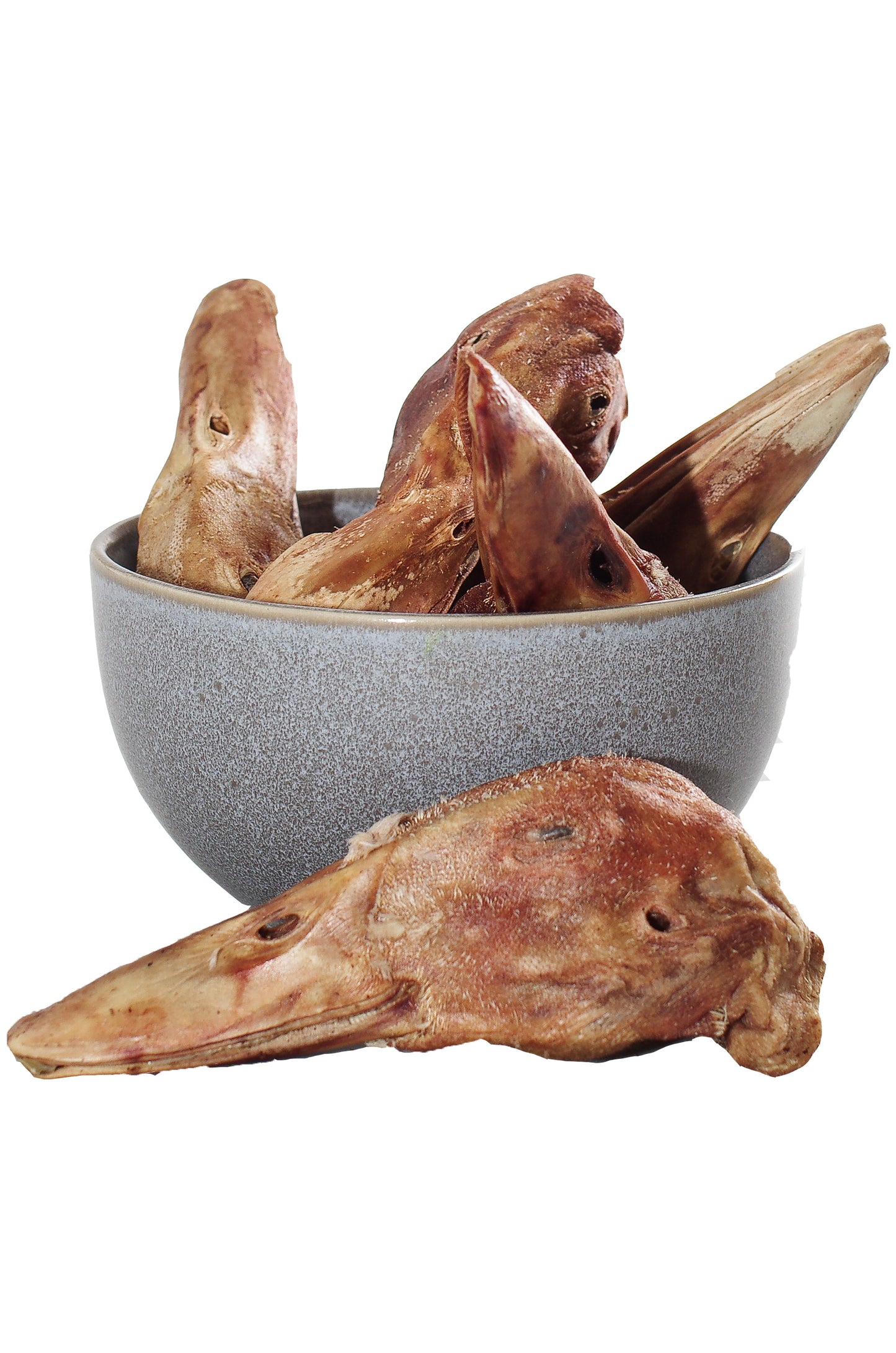 Tête de canard